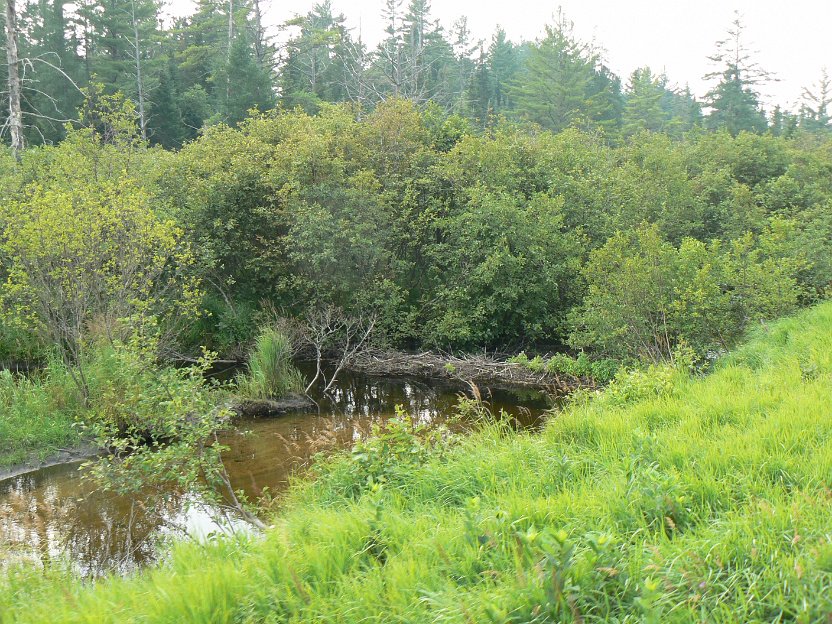 025-beaver dam.jpg